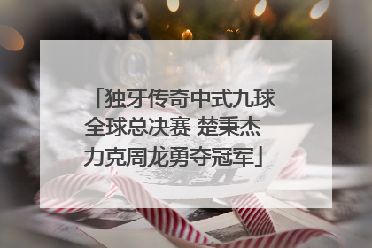 独牙传奇中式九球全球总决赛 楚秉杰力克周龙勇夺冠军