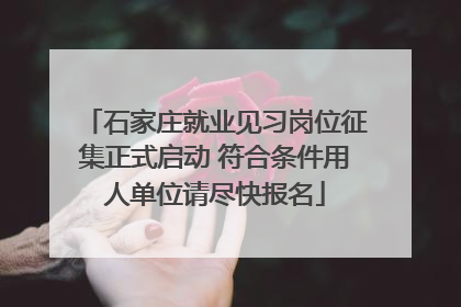 石家庄就业见习岗位征集正式启动 符合条件用人单位请尽快报名