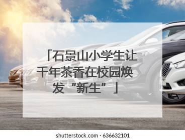 石景山小学生让千年茶香在校园焕发“新生”