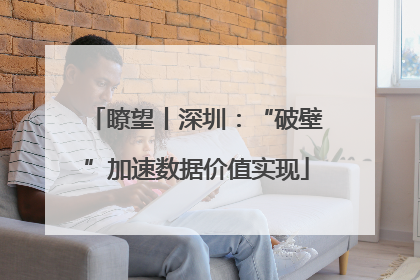 瞭望丨深圳：“破壁”加速数据价值实现