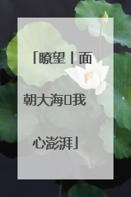 瞭望丨面朝大海 我心澎湃
