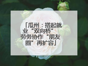 瓜州：搭起就业“双向桥” 劳务协作“朋友圈”再扩容
