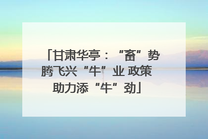 甘肃华亭：“畜”势腾飞兴“牛”业 政策助力添“牛”劲