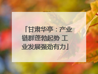 甘肃华亭：产业链群蓬勃起势 工业发展强劲有力