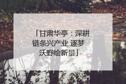 甘肃华亭：深耕链条兴产业 逐梦沃野绘新景