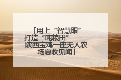 用上“智慧眼” 打造“吨粮田”——陕西宝鸡一座无人农场夏收见闻