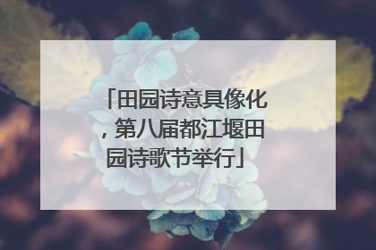 田园诗意具像化，第八届都江堰田园诗歌节举行