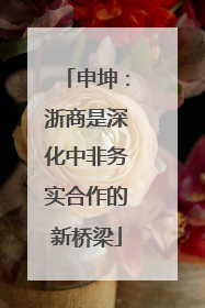 申坤：浙商是深化中非务实合作的新桥梁