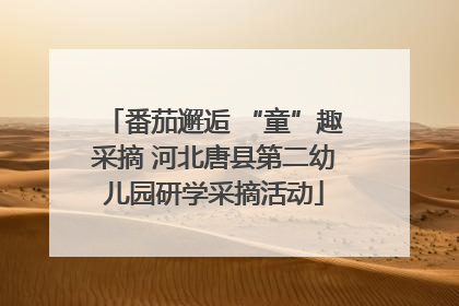 番茄邂逅 “童”趣采摘 河北唐县第二幼儿园研学采摘活动