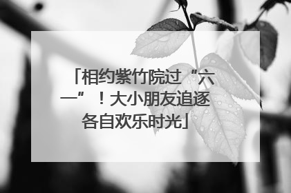 相约紫竹院过“六一”！大小朋友追逐各自欢乐时光