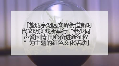 盐城亭湖区文峰街道新时代文明实践所举行“老少同声爱国情 同心奋进新征程”为主题的红色文化活动