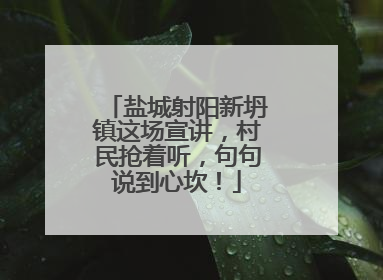 盐城射阳新坍镇这场宣讲，村民抢着听，句句说到心坎！