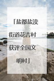 盐都盐渎街道花吉村获评全国文明村