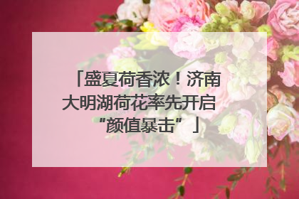 盛夏荷香浓！济南大明湖荷花率先开启“颜值暴击”