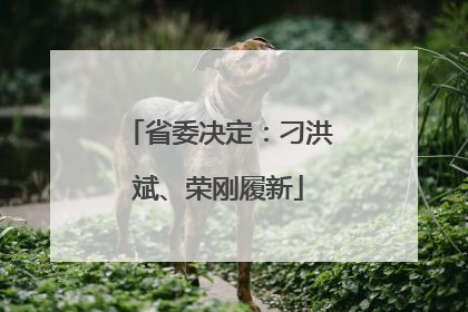 省委决定：刁洪斌、荣刚履新