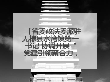 省委政法委派驻无棣县水湾镇第一书记 协调开展“党建引领聚合力，健康义诊惠乡亲”义诊活动