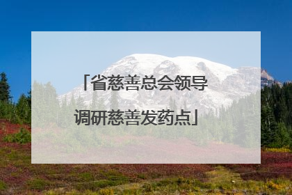 省慈善总会领导调研慈善发药点