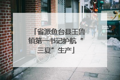 省派鱼台县王鲁镇第一书记护航“三夏”生产