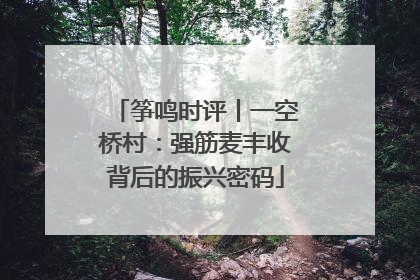 筝鸣时评丨一空桥村：强筋麦丰收背后的振兴密码