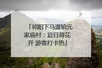 祁阳下马渡镇元家庙村：夏日荷花开 游客打卡热