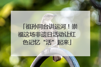 祖孙同台讲运河！崇福这场非遗日活动让红色记忆“活”起来