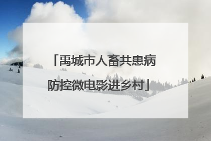 禹城市人畜共患病防控微电影进乡村