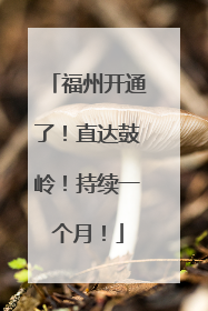 福州开通了！直达鼓岭！持续一个月！