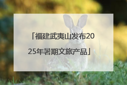 福建武夷山发布2025年暑期文旅产品