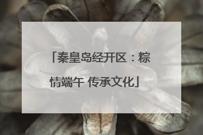 秦皇岛经开区：粽情端午 传承文化