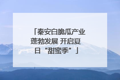 秦安白脆瓜产业蓬勃发展 开启夏日“甜蜜季”