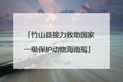 竹山县接力救助国家一级保护动物海南鳽