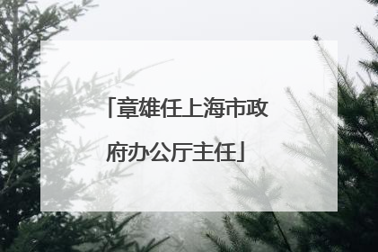 章雄任上海市政府办公厅主任