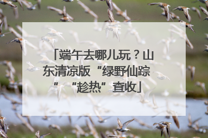 端午去哪儿玩？山东清凉版“绿野仙踪”“趁热”查收