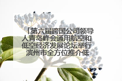 第六届跨国公司领导人青岛峰会通用航空和低空经济发展论坛举行 滨州市全方位推介低空经济发展优势