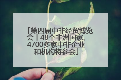 第四届中非经贸博览会丨48个非洲国家、4700多家中非企业和机构将参会