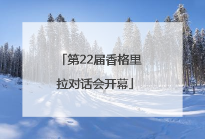 第22届香格里拉对话会开幕