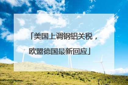 美国上调钢铝关税，欧盟德国最新回应