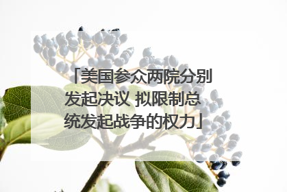 美国参众两院分别发起决议 拟限制总统发起战争的权力