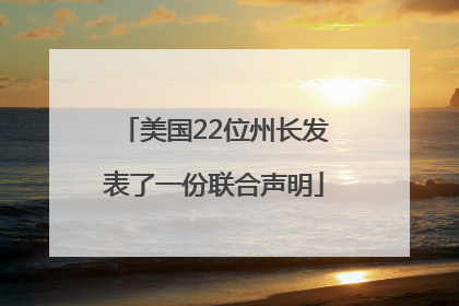 美国22位州长发表了一份联合声明