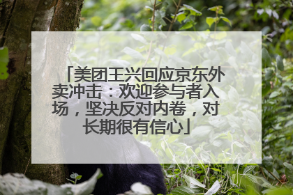 美团王兴回应京东外卖冲击：欢迎参与者入场，坚决反对内卷，对长期很有信心
