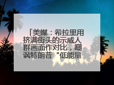 美媒：希拉里用挤满街头的示威人群画面作对比，嘲讽特朗普“低能量”阅兵式观众少