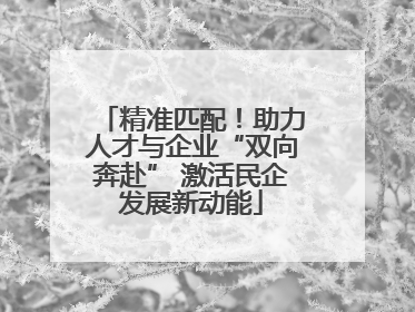 精准匹配！助力人才与企业“双向奔赴” 激活民企发展新动能