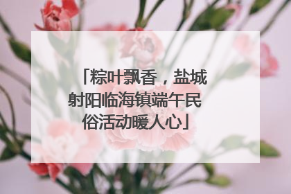 粽叶飘香，盐城射阳临海镇端午民俗活动暖人心