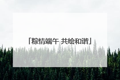 粽情端午 共绘和谐