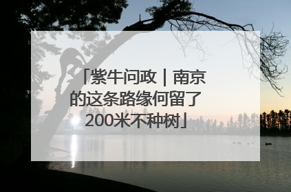 紫牛问政｜南京的这条路缘何留了200米不种树