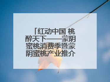 红动中国 桃醉天下——蒙阴蜜桃消费季暨蒙阴蜜桃产业推介会成功举办