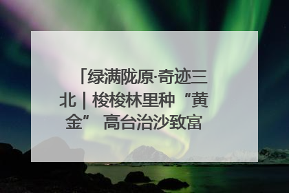 绿满陇原·奇迹三北｜梭梭林里种“黄金” 高台治沙致富很“从容”