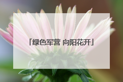 绿色军营 向阳花开
