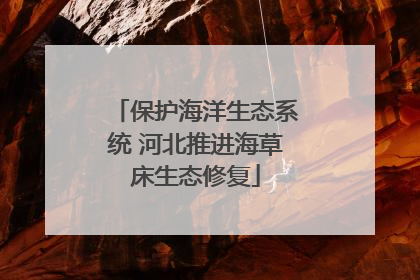 保护海洋生态系统 河北推进海草床生态修复