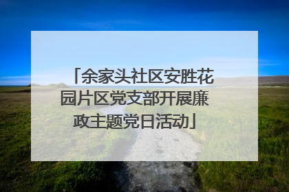 余家头社区安胜花园片区党支部开展廉政主题党日活动